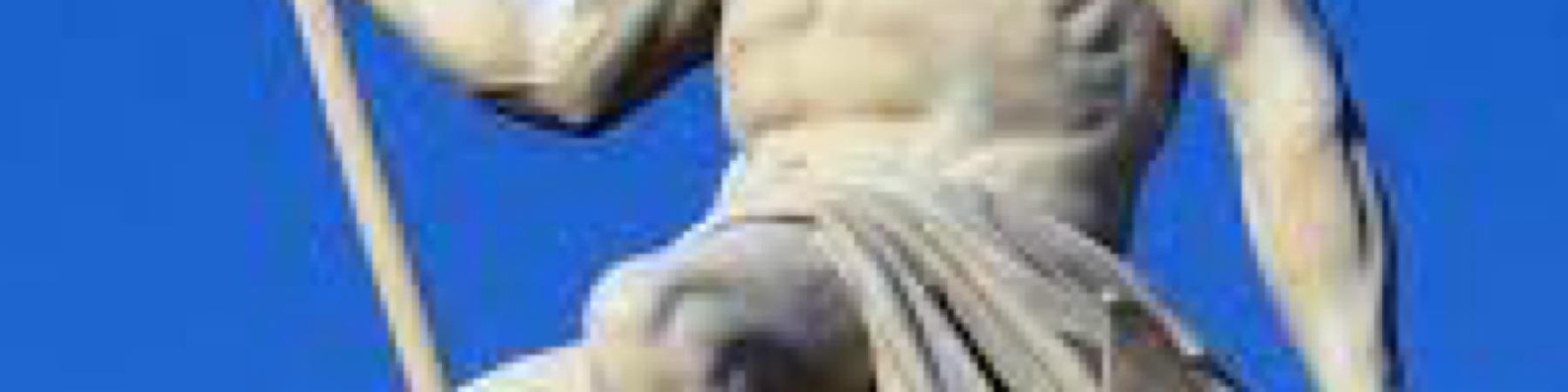 Profile Banner