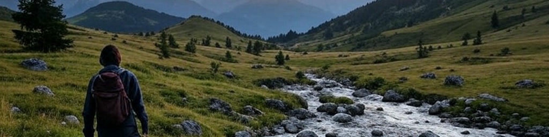 Profile Banner