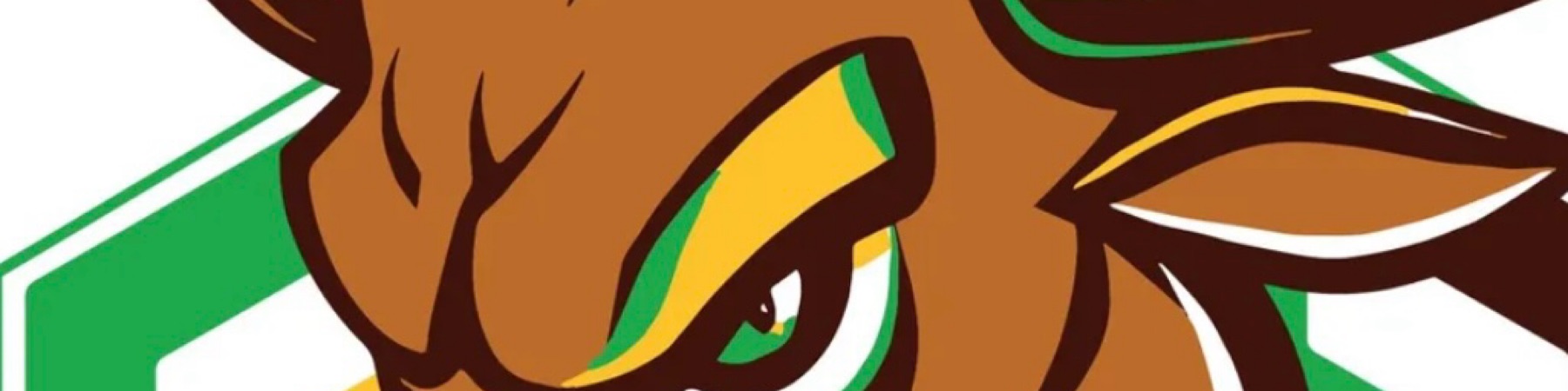 Profile Banner