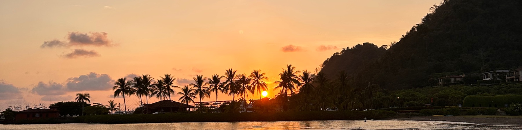 Profile Banner