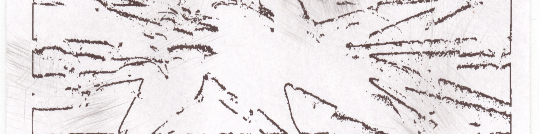 Profile Banner