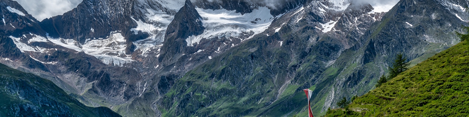 Profile Banner