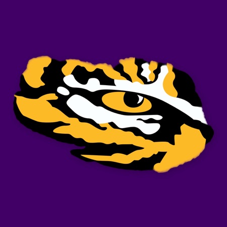 LSULaw's avatar